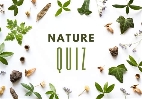 Discover your magical nature quiz